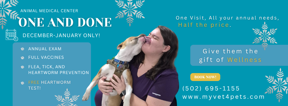 One and Done Banner (1)